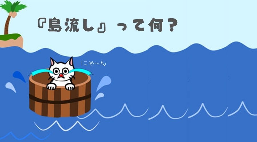 大海を漂流している猫