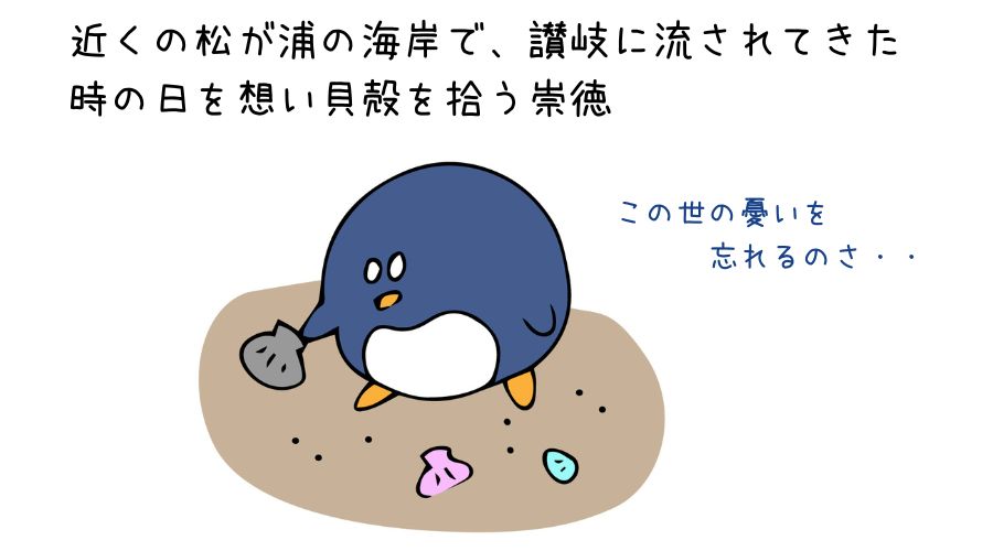 貝殻を拾うペンギン