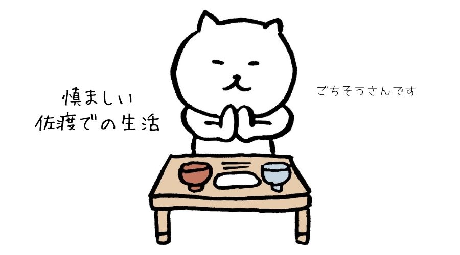 猫が生活をしている